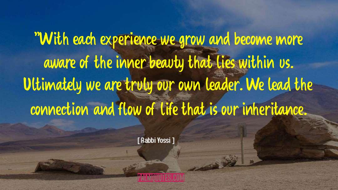 Flow Of Life quotes by Rabbi Yossi