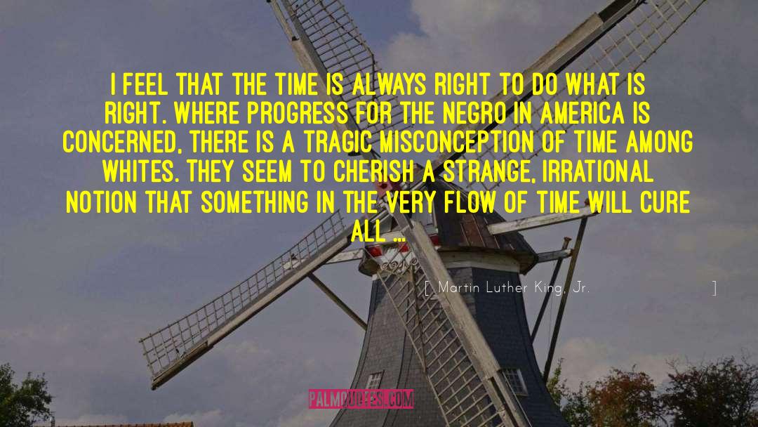 Flow Of Time quotes by Martin Luther King, Jr.