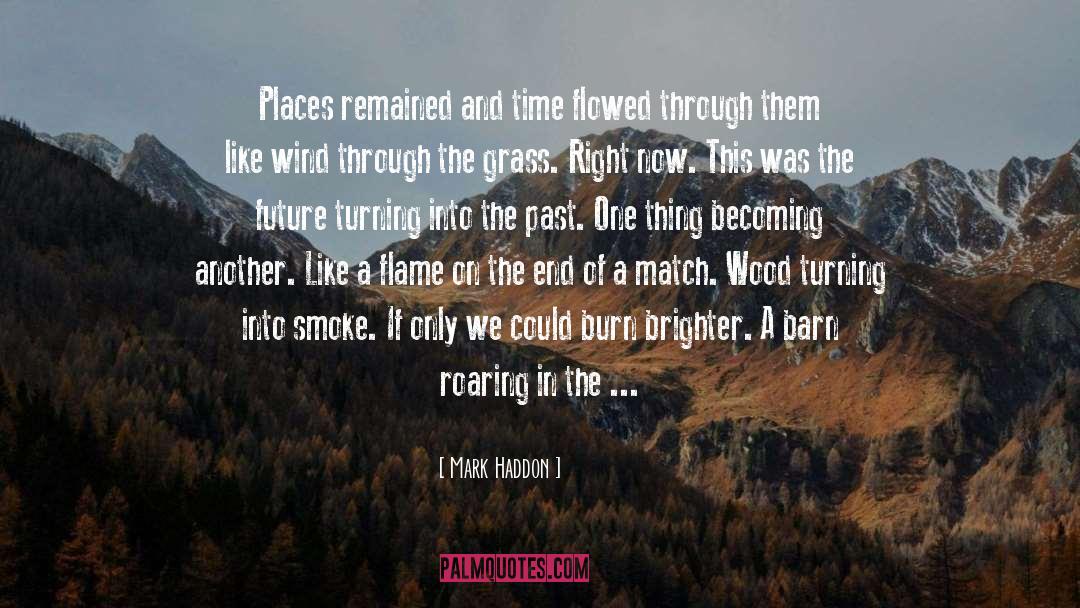 Flowed quotes by Mark Haddon