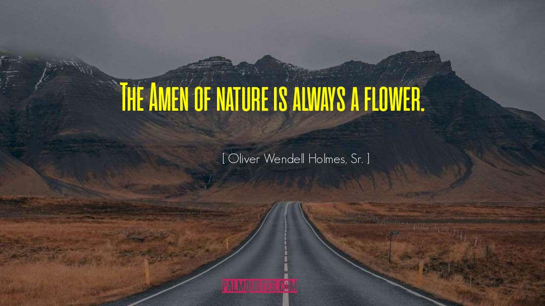 Flower Blossom quotes by Oliver Wendell Holmes, Sr.