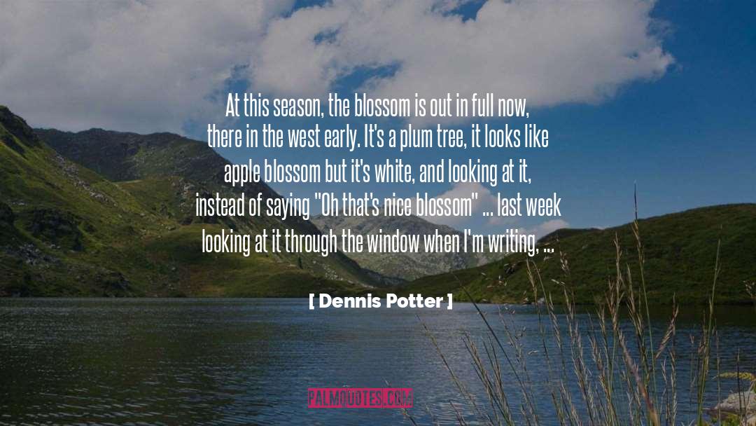 Flower Blossom quotes by Dennis Potter