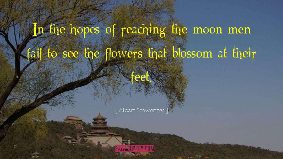 Flower Blossom quotes by Albert Schweitzer