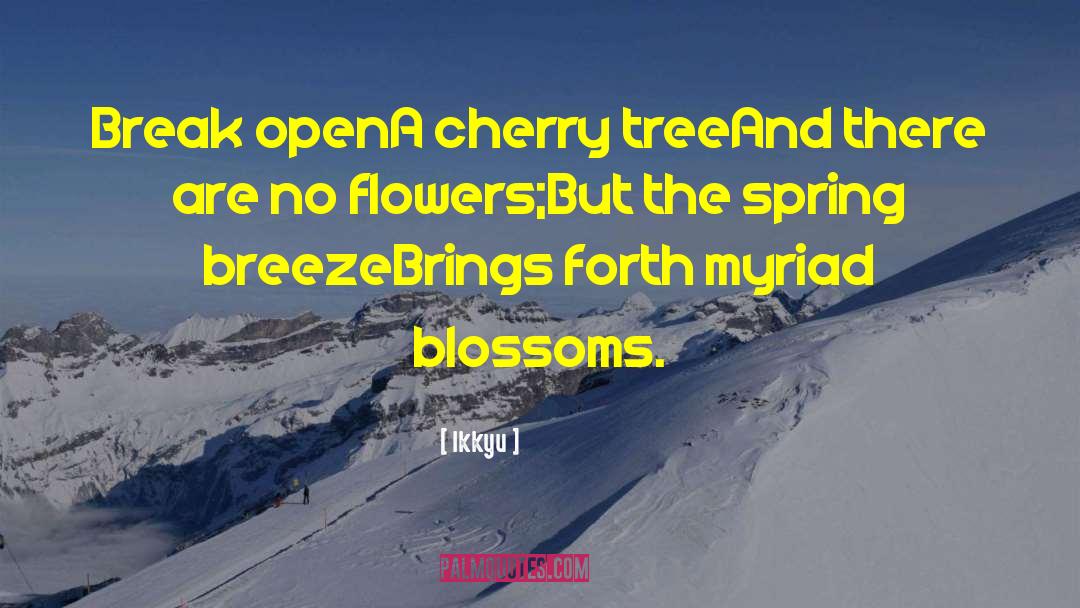 Flower Blossom quotes by Ikkyu