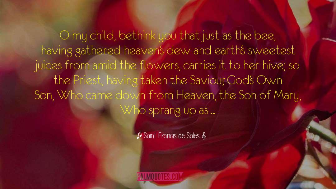 Flower Dew Drops quotes by Saint Francis De Sales