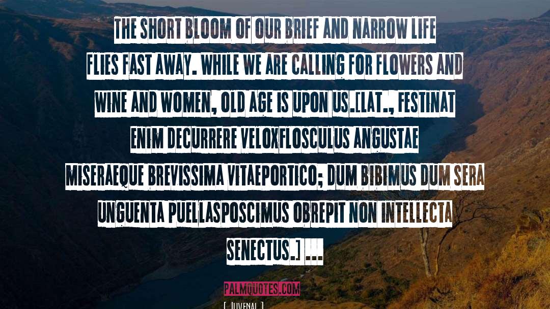 Flower Elixirs quotes by Juvenal