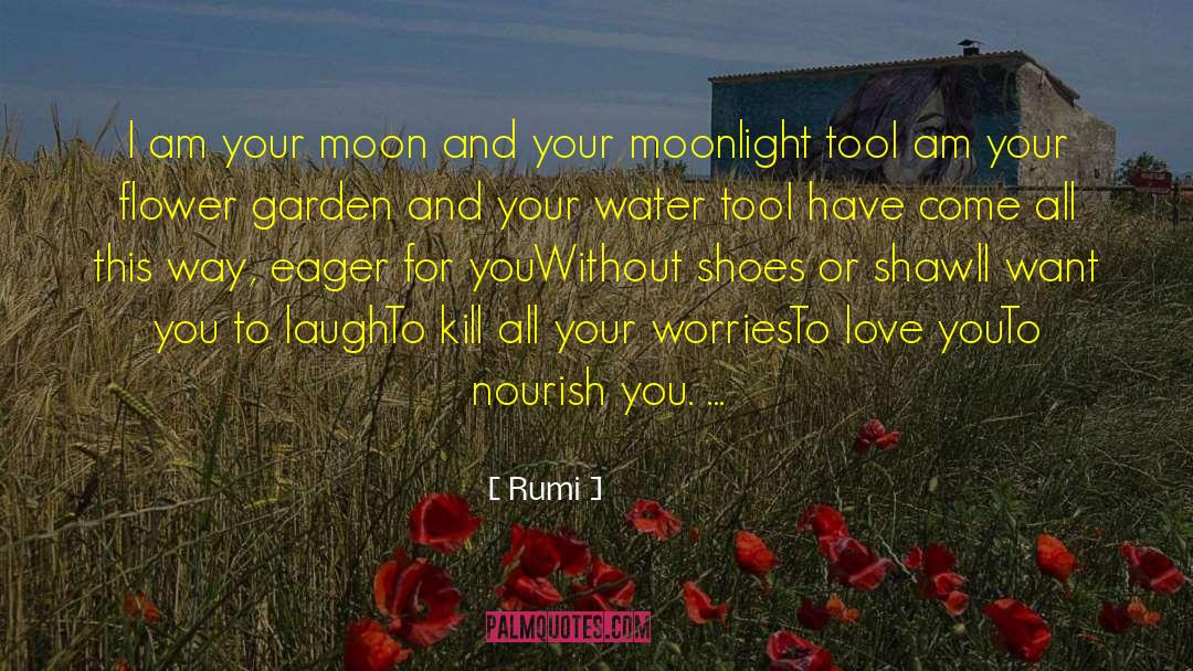 Flower Garden quotes by Rumi