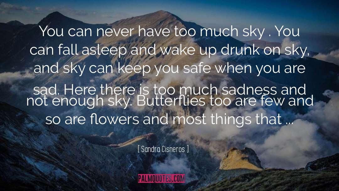 Flower Of Heaven quotes by Sandra Cisneros