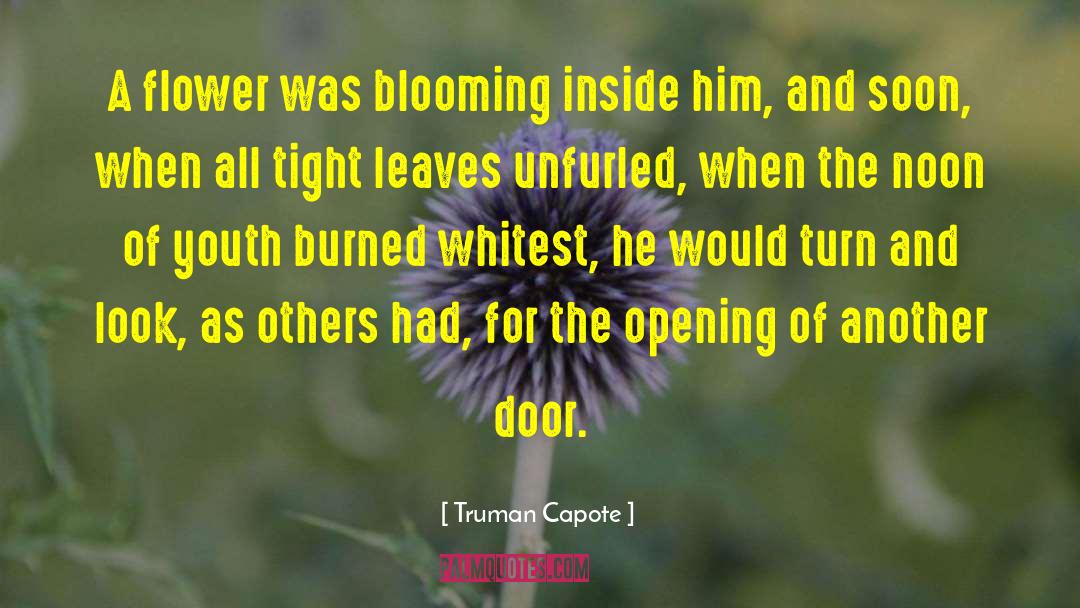 Flower Picking quotes by Truman Capote