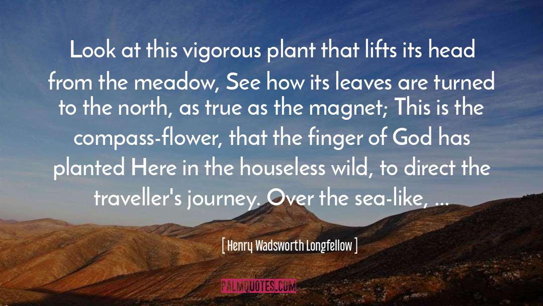 Flower quotes by Henry Wadsworth Longfellow