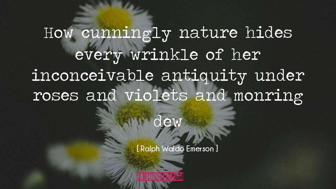 Flower quotes by Ralph Waldo Emerson