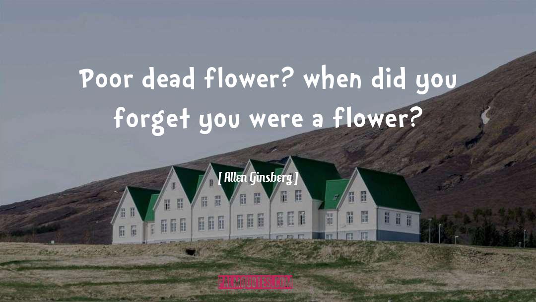 Flower quotes by Allen Ginsberg