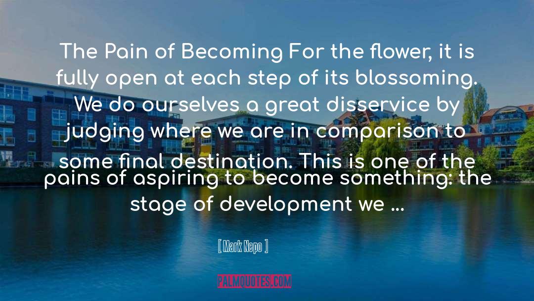 Flower quotes by Mark Nepo
