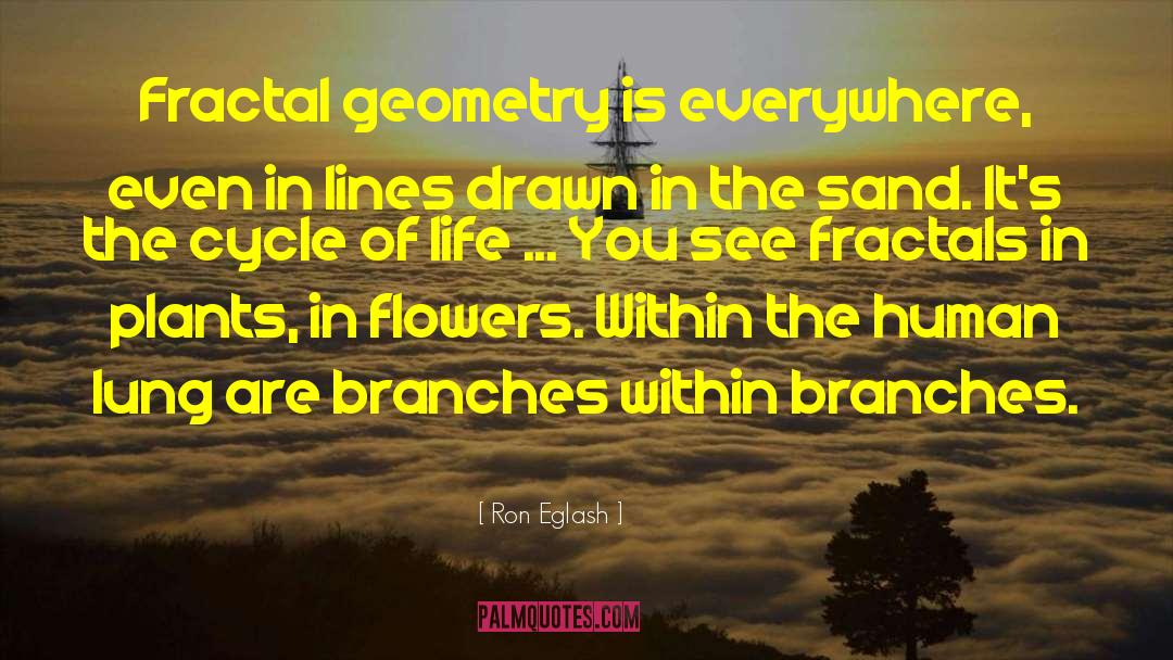Flowering Plants quotes by Ron Eglash