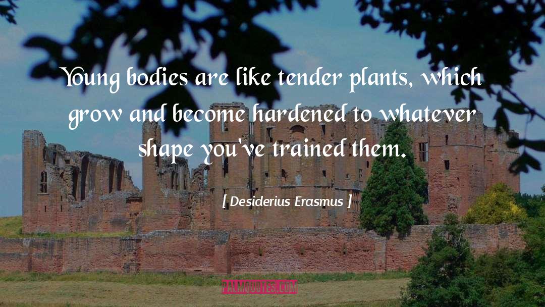 Flowering Plants quotes by Desiderius Erasmus