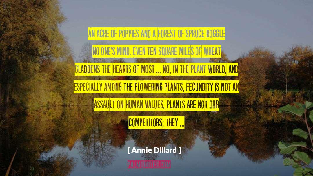 Flowering Plants quotes by Annie Dillard