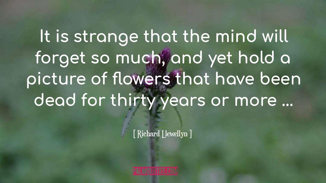 Flowers And Gardens quotes by Richard Llewellyn