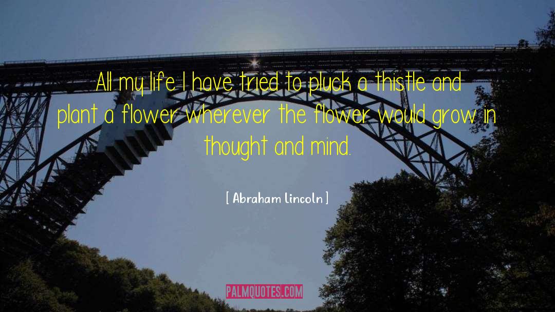 Flowers And Plants Suspense quotes by Abraham Lincoln