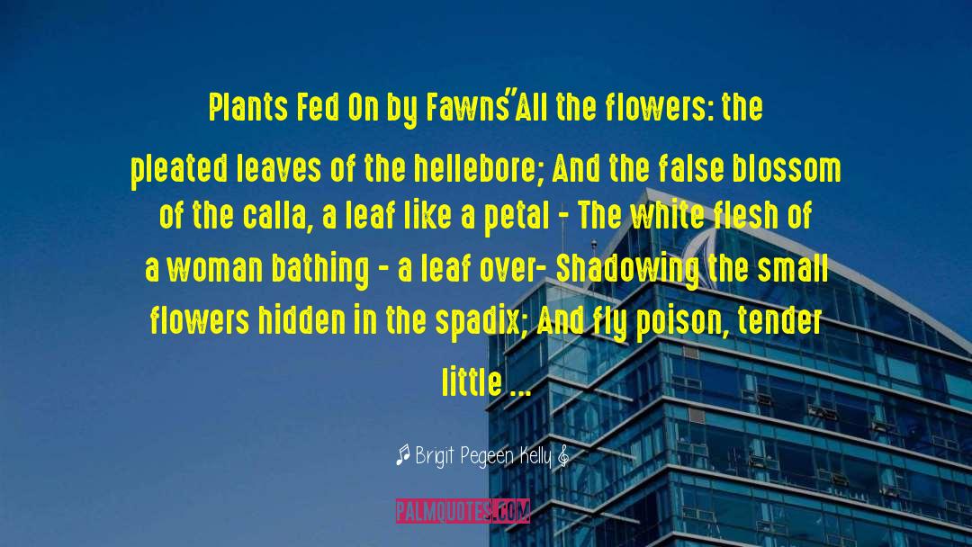 Flowers And Plants Suspense quotes by Brigit Pegeen Kelly