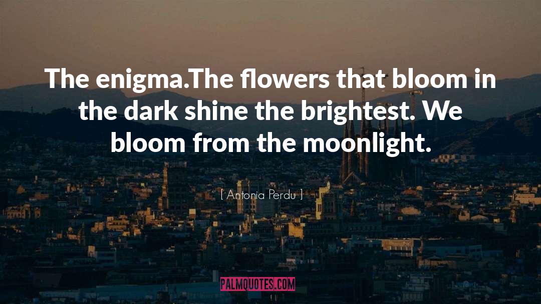 Flowers Bloom In Darkness quotes by Antonia Perdu