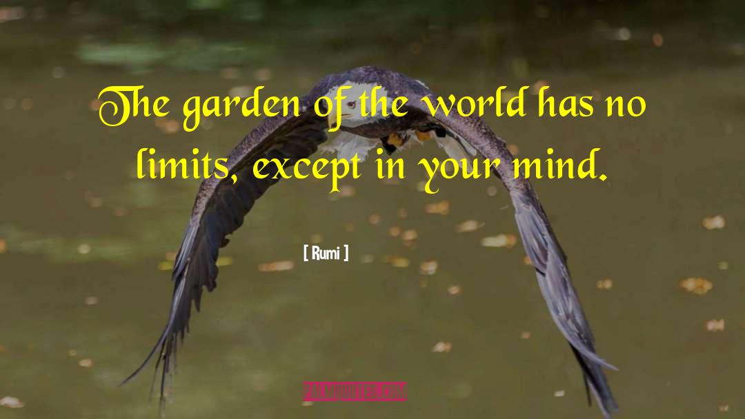 Flowers Bloom In Your Garden quotes by Rumi