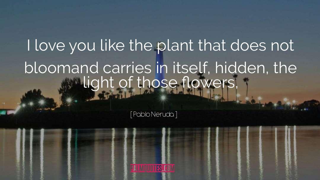 Flowers Bloom quotes by Pablo Neruda