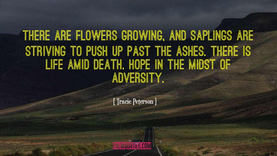 Flowers Growing quotes by Tracie Peterson