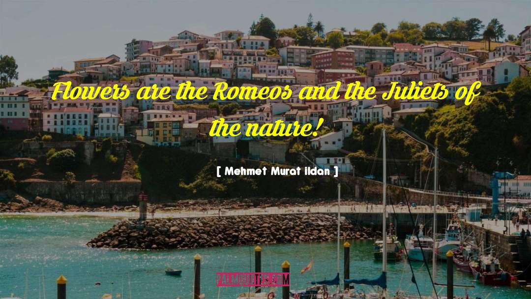 Flowers Of Kindness quotes by Mehmet Murat Ildan