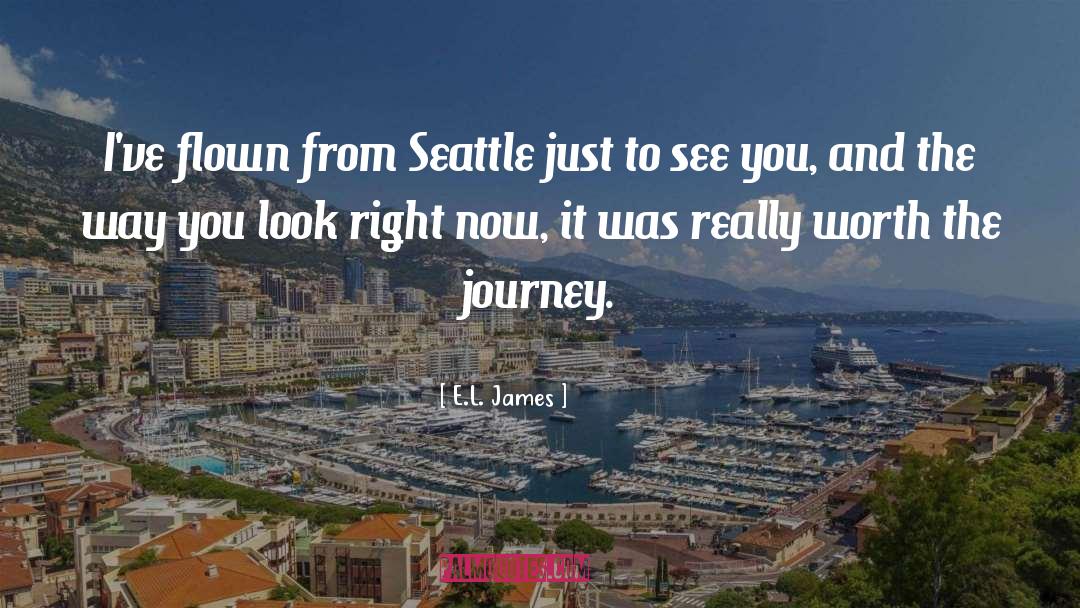 Flown quotes by E.L. James