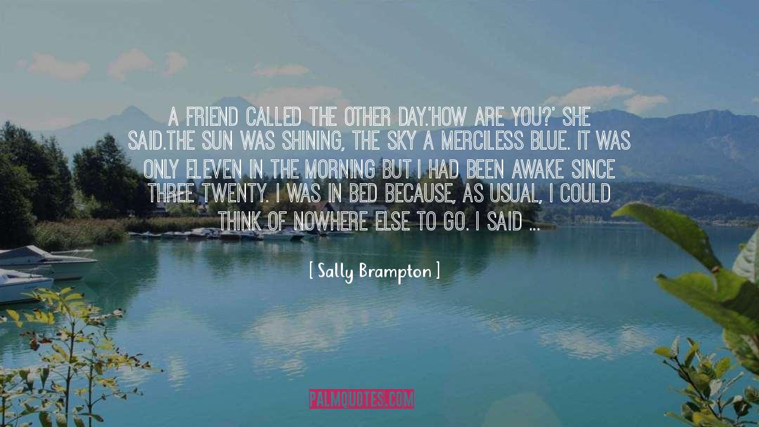 Flu quotes by Sally Brampton