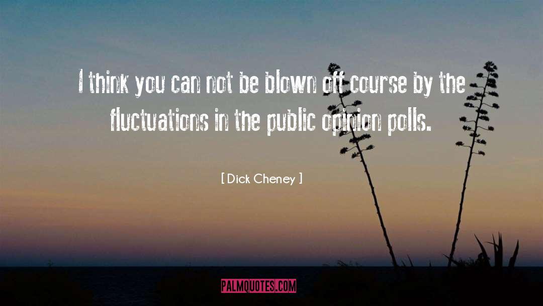 Fluctuations quotes by Dick Cheney