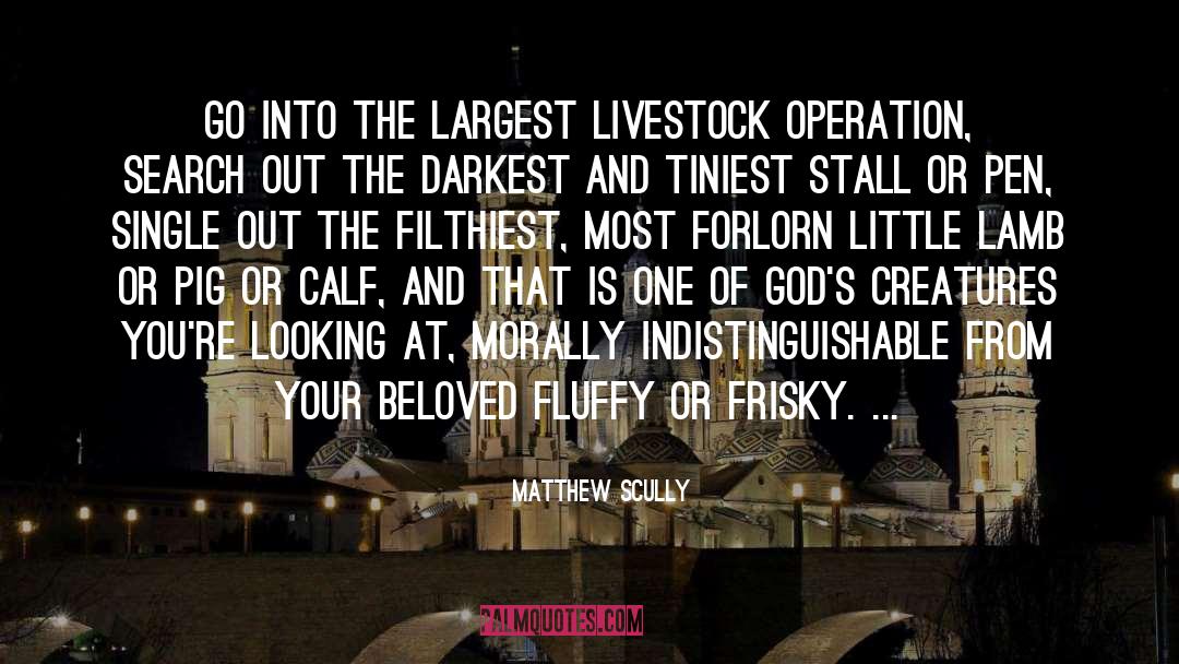 Fluffy quotes by Matthew Scully