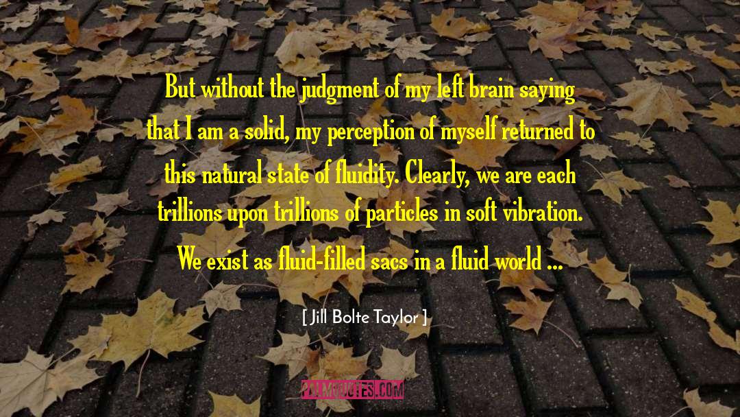 Fluidity quotes by Jill Bolte Taylor