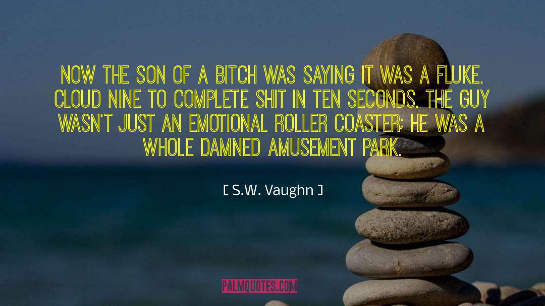 Fluke quotes by S.W. Vaughn