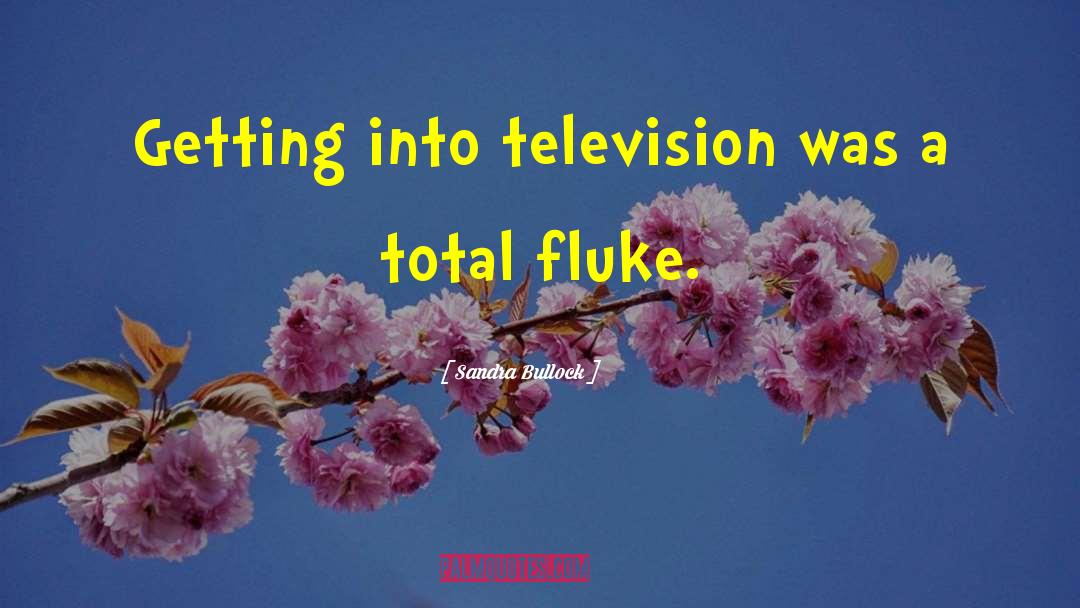 Flukes quotes by Sandra Bullock