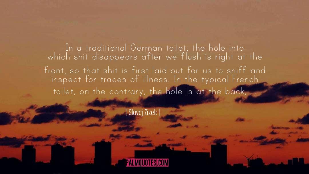 Flush quotes by Slavoj Zizek