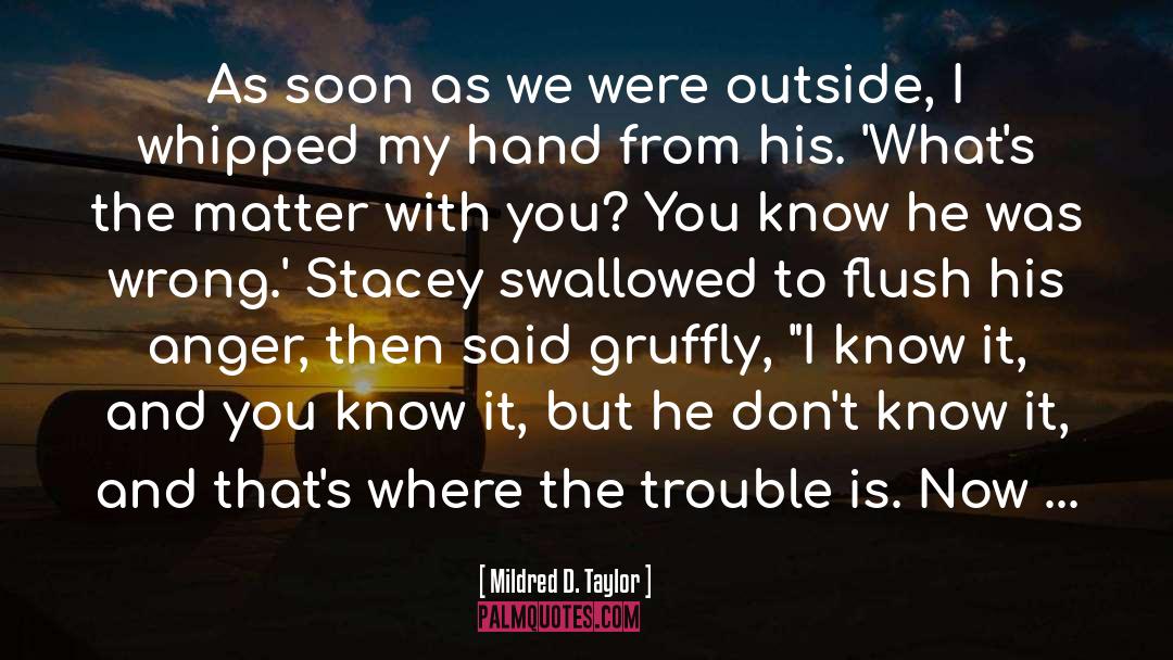 Flush quotes by Mildred D. Taylor