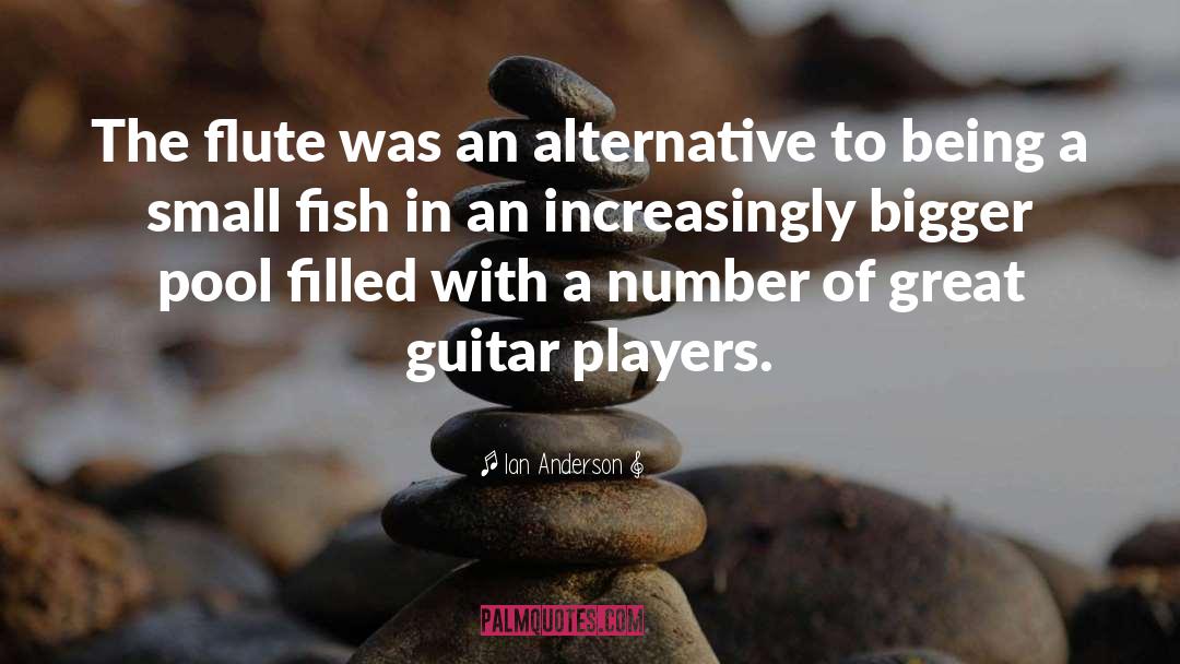 Flute quotes by Ian Anderson