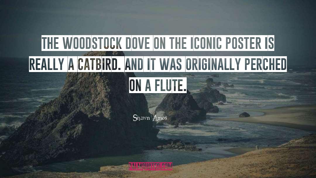 Flute quotes by Shawn Amos