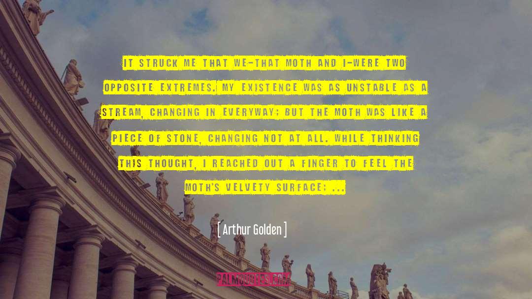 Flutter quotes by Arthur Golden