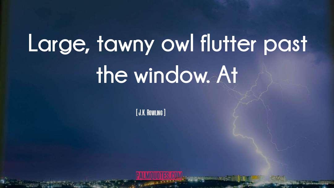 Flutter quotes by J.K. Rowling