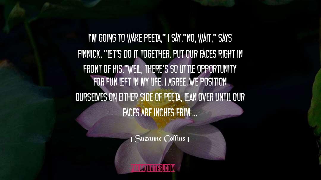 Flutter quotes by Suzanne Collins