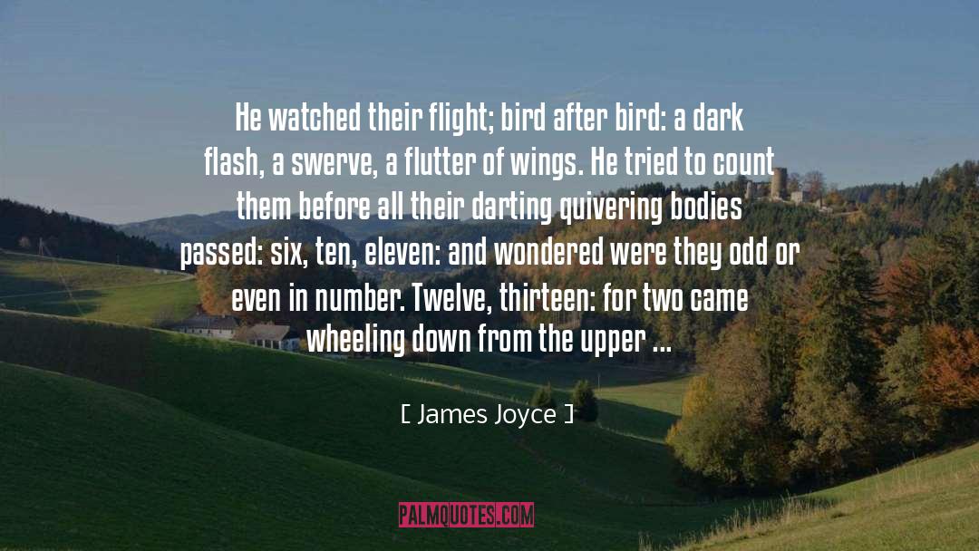 Flutter quotes by James Joyce