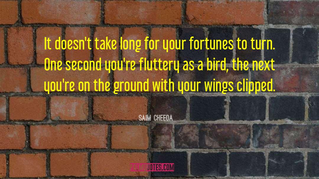 Fluttery quotes by Saim Cheeda