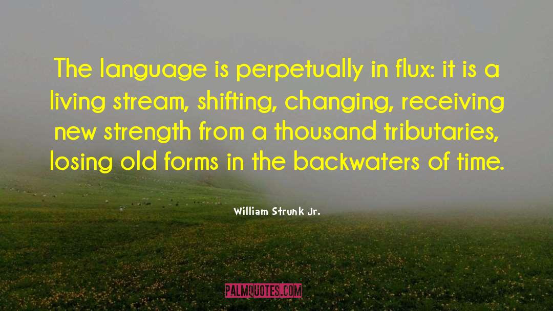 Flux quotes by William Strunk Jr.