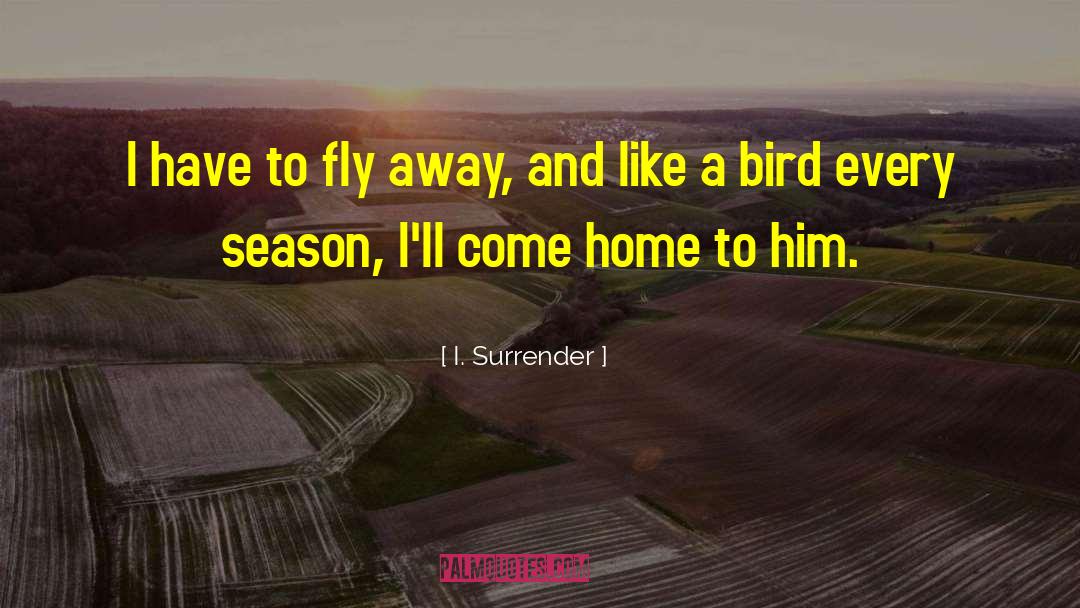 Fly Away Home Memorable quotes by I. Surrender