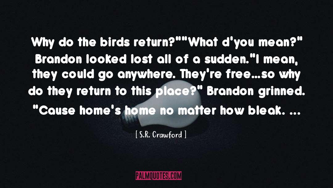 Fly Away Home Memorable quotes by S.R. Crawford