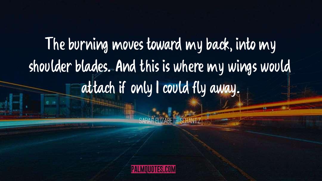 Fly Away quotes by Sarah Elizabeth Schantz