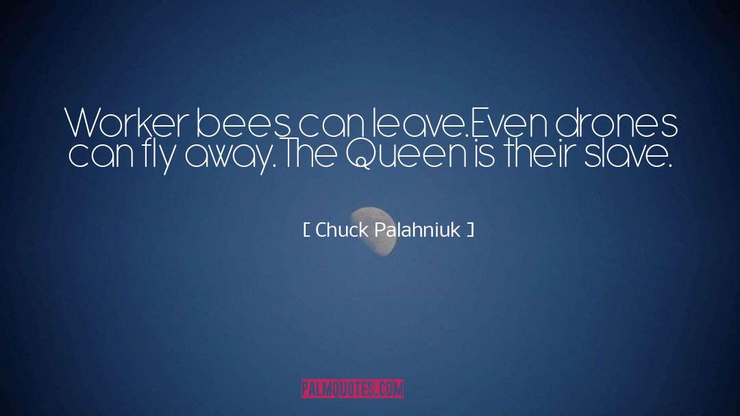 Fly Away quotes by Chuck Palahniuk