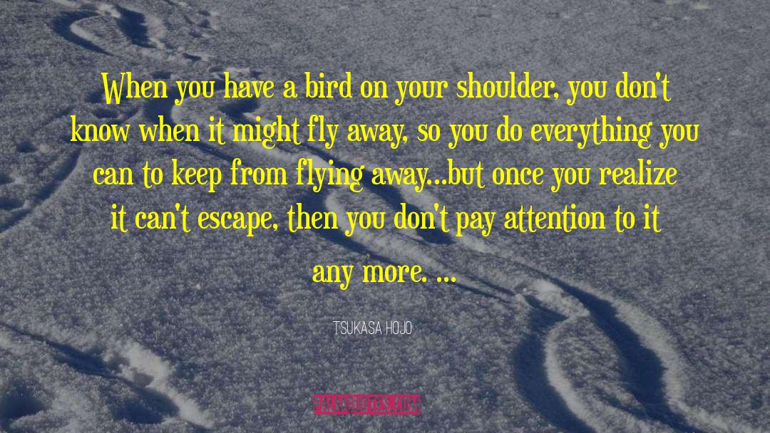 Fly Away quotes by Tsukasa Hojo