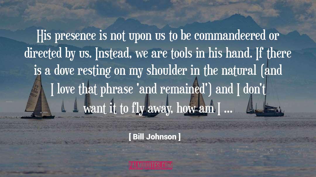 Fly Away quotes by Bill Johnson